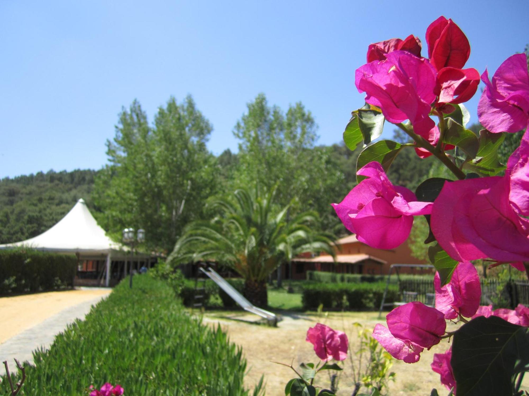 Posada El Camino Almonaster Almonaster la Real Ngoại thất bức ảnh